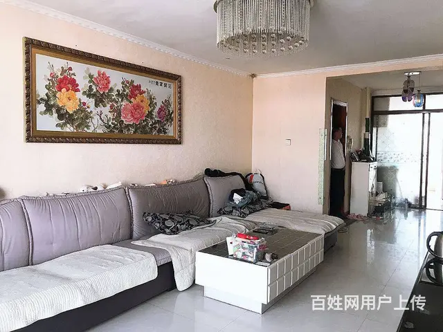 南滨河 落地窗 精装修 拎包入住 无大税 - 图片 8