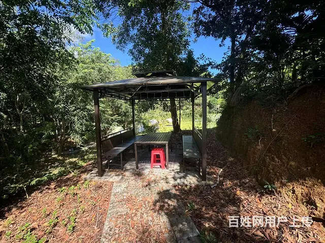 （51旺铺推荐）吉阳区大茅3000平露营基地转让 - 图片 10