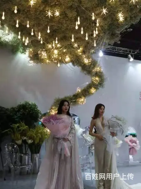 昆明斗南花卉批发市场美旗花卉基地直发满天星康乃馨 - 图片 8