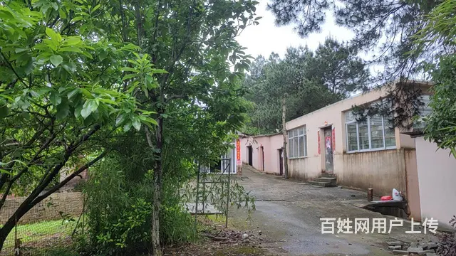 可整租可分租 空间宽敞 停车方便 进出车方便 - 图片 7