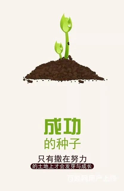 南京传媒学院五年制专转本各专业考纲徐州有提分集训班 - 图片