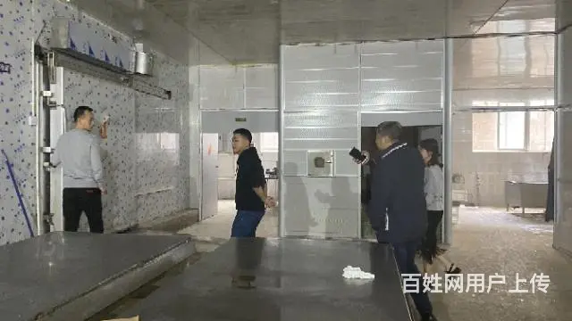 北海鳗鱼丸子马鲛鱼丸批发工厂批发 - 图片 3