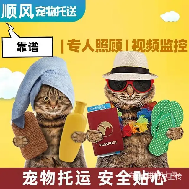 2022固原（猫狗）快递托运（宠物活体运输新*闻） - 图片 4