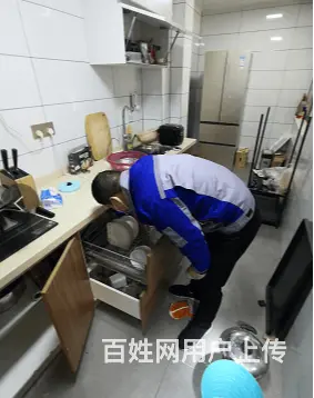 商丘市除四害电话丶专业提供除蚊蝇公司 - 图片 3