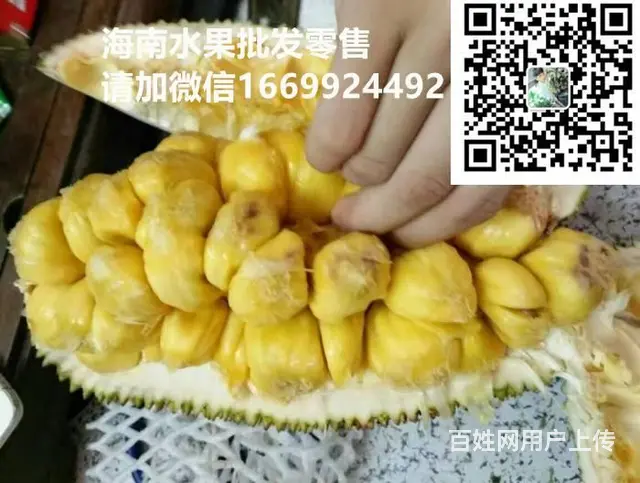 海南特色水果海南榴莲蜜上市预订预购 - 图片 4