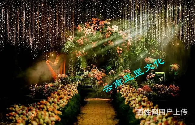 婚礼策划、场地布置、灯光音响、大屏、主持、演出表演 - 图片 12