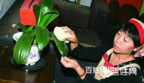 昆明五华区老人陪护，保姆，钟点工，月嫂找秋实家政 - 图片 4