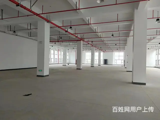 吴江科创园附近20000平米仓库厂房出租 - 图片 2