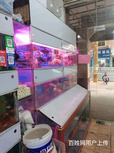 低价出售 - 图片 1