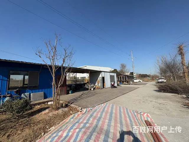 （徐州找店网）金山桥农场土地转让 - 图片 5