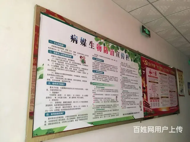 海口海甸岛做户外室内海报来漫晨图文广告店 - 图片 2