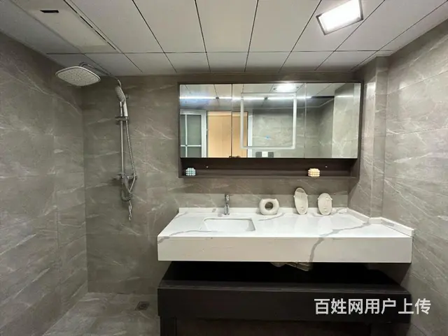 20多W买房送车送车位！精装复试公寓 轻轨口旁中合智慧广场 - 图片 8