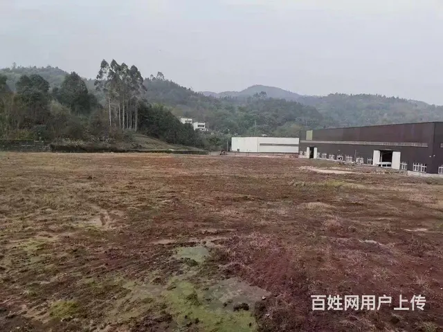 巴南一品创业园450平米厂库房、1.5万平米场地出租 - 图片 5