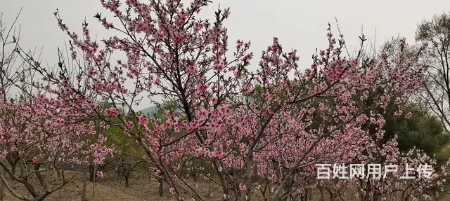 出租客运总站附近楼房 - 图片