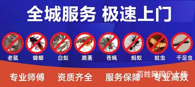 除虫除百虫：灭蟑螂、四害防治、防鼠灭鼠、灭臭虫 - 图片 11