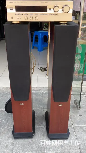 转让一对丹麦雅锐发烧音箱，低音在侧面，配套马来西亚 - 图片 9