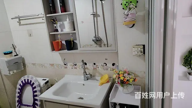 精装未住 - 图片 3