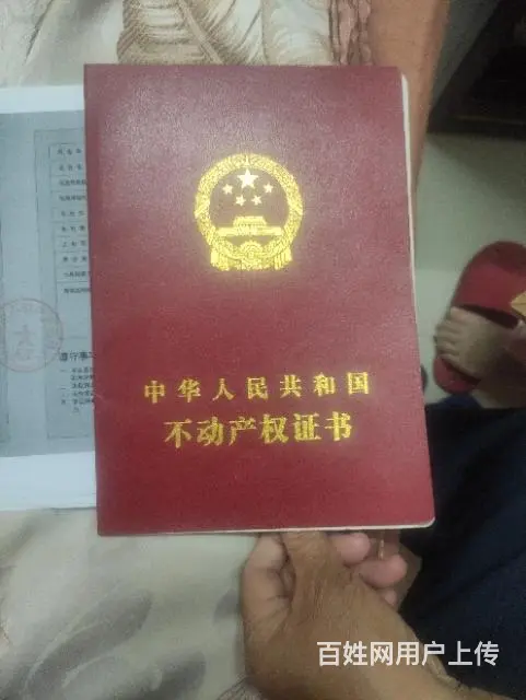 国有工业用地出租 - 图片