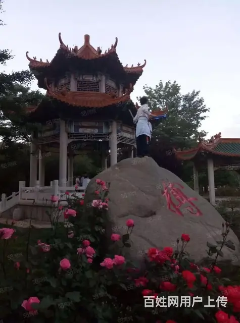 捡漏了！戚家夼精装修好楼层，离塔山小学、中学很近，送大草厦子 - 图片 12