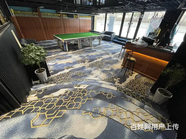 7941(七P)个人城中区香格里拉商业圈台球厅对外转让 - 图片 3