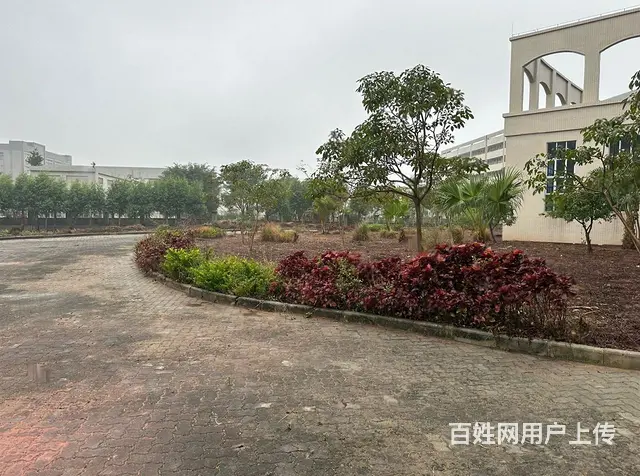 平沙工业区200亩厂房低价出售，每年收租 - 图片 2
