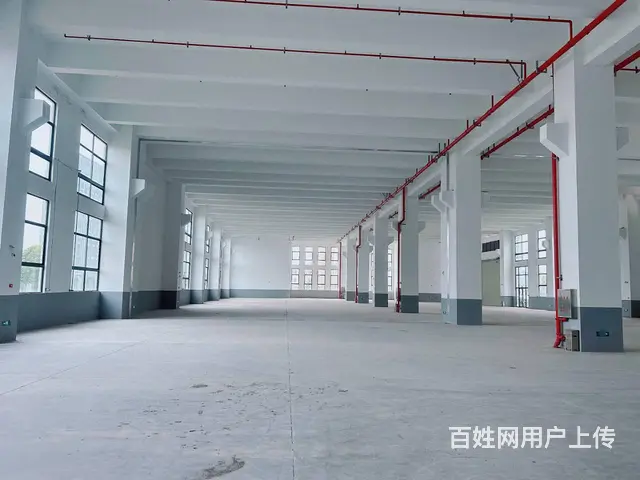 （老板本人）望城标准园区厂房仓库出租6693 - 图片 6