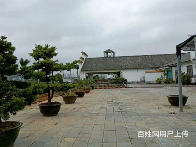 斗门商业综合体，房东直租 - 图片 9