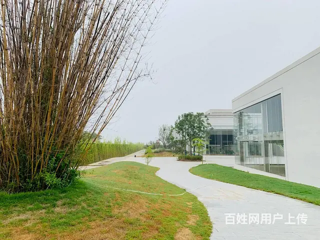 孟津自己的高品质园区，享受花园办公，管家服务，让您安心办公 - 图片 4