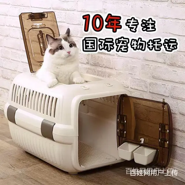 开封杞县托运宠物 （猫狗活体运输）快递至全国各地 - 图片 2