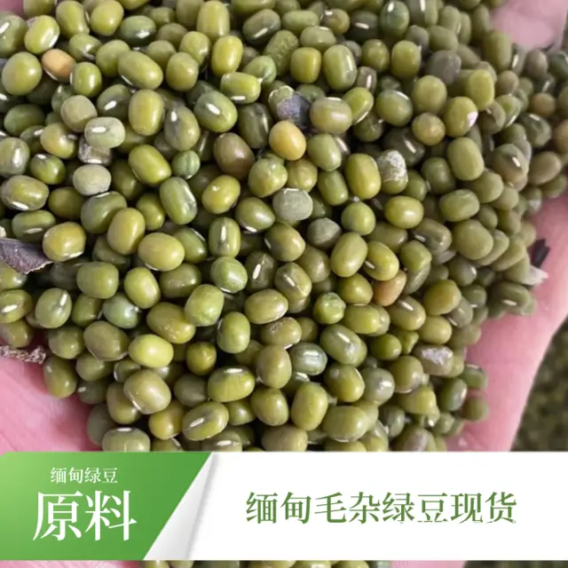 缅甸大厂区绿豆 油绿豆原粮大量供应量大价优欢迎采购 - 图片 10