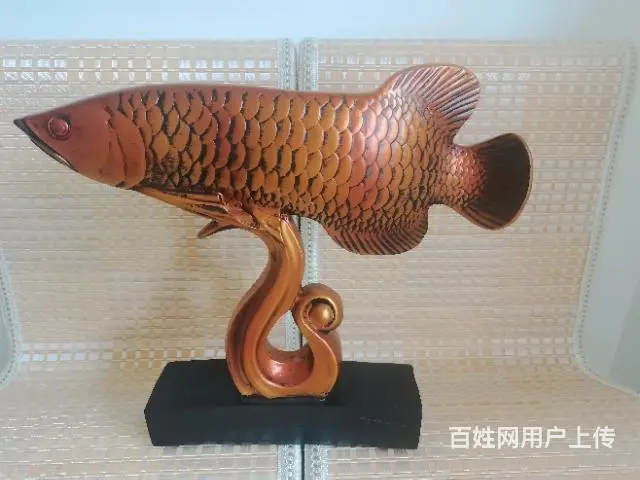 自家闲置低价出 - 图片 5