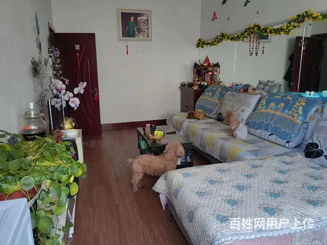 双学区  可焦东路小学 十七中 2楼 2室 可贷款 - 图片 2