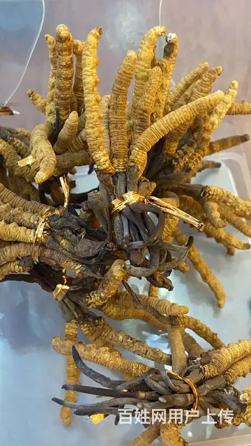 湛江雷州  湛江哪里有名酒回收  高价回收各种名酒  24小 - 图片 2
