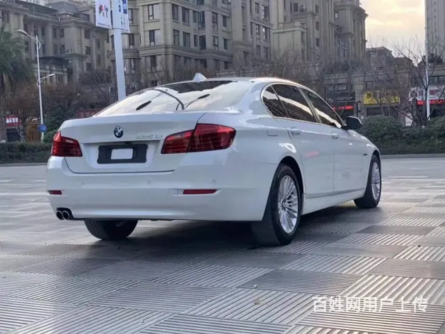 宝马5系 2014款 525Li 2.0T 手自一体 领先型 - 图片 6
