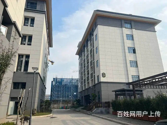 自有全新园区招租 单层独栋 多面积段 业态不限 欢迎咨询看房 - 图片 12