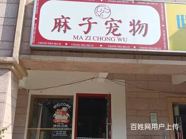 （老板本人）临街宠物店优价转让  5629 - 图片 1