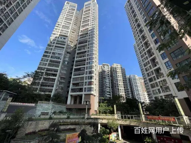 前山 财富世家 精装 中层电梯 3房 全新未入住 - 图片 11