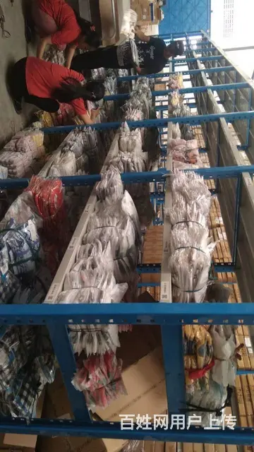 雅加达电商海外仓 - 图片