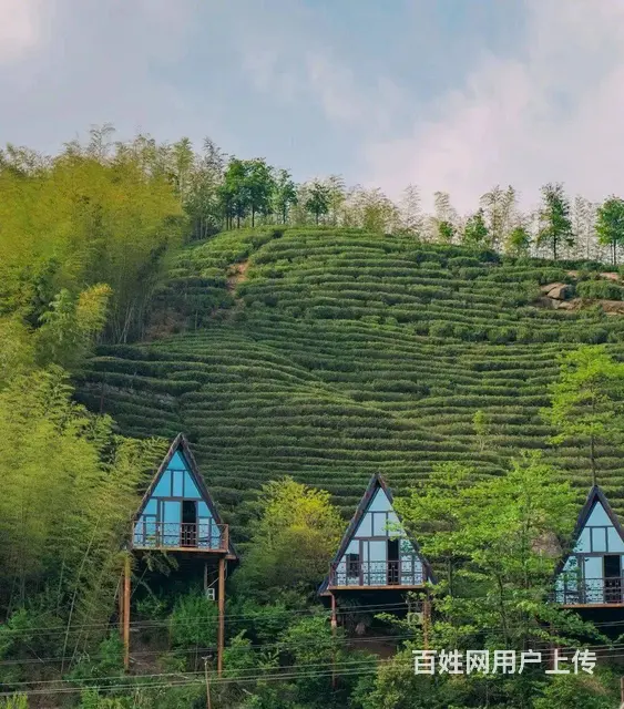 长沙农家乐趣味游玩黑麋峰景区零点团建 - 图片 3