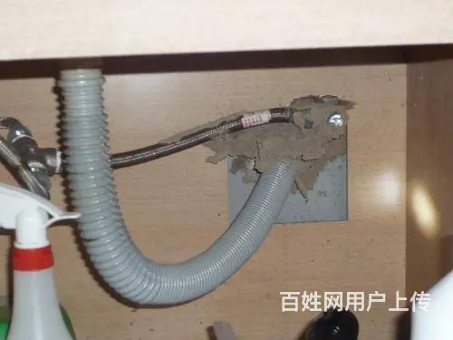 灭飞蚂蚁黑蚂蚁杀虫白蚁防治 - 图片 5