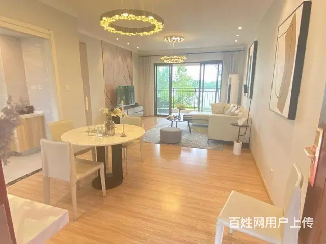 湖景高端准现房！靠近高铁站（车位）s4轻轨始发站 - 图片 3