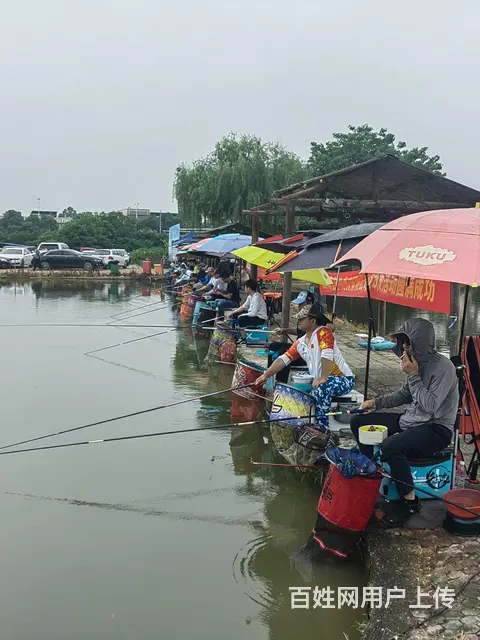 成熟人气钓场转让，有意向的到现场洽谈 - 图片 8