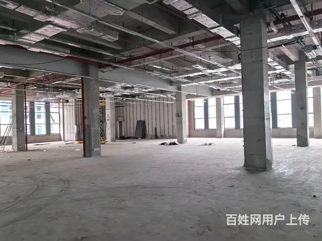 4438平一楼标准化厂房出租 10元/平 0物业费 - 图片 5
