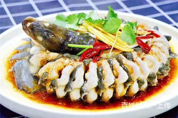 厨师培训要学多久？ - 图片
