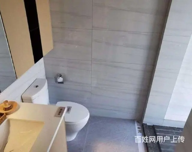 市区明新房 明珠轻轨站旁 现楼九中旁 南向精装现楼现证 - 图片 3