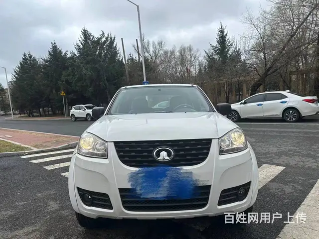 其他 皮卡 - 图片 1