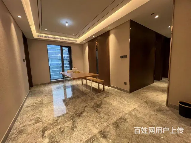 汉街SKP 融创徐东壹号院 4房3卫 南北通透 地 - 图片 3