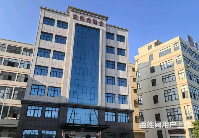D9 I59 O5O9 6588罗山街道后林延林东路厂房 - 图片 1