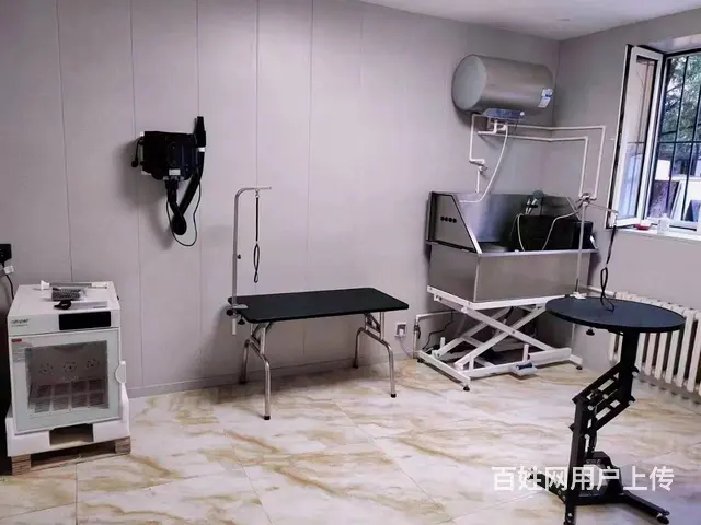 香坊安埠街宠物店 宠物美容店铺转让 - 图片 6