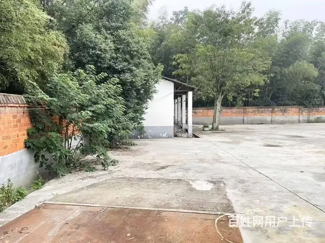 （老板本人）望城区独门独院厂房/仓库房东直租6758 - 图片 7